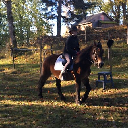 Henneviken Bnb Ed Dış mekan fotoğraf
