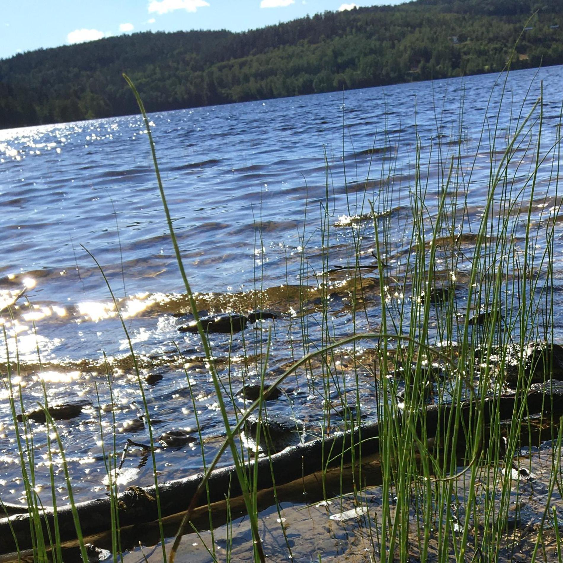 Henneviken Bnb Ed Dış mekan fotoğraf