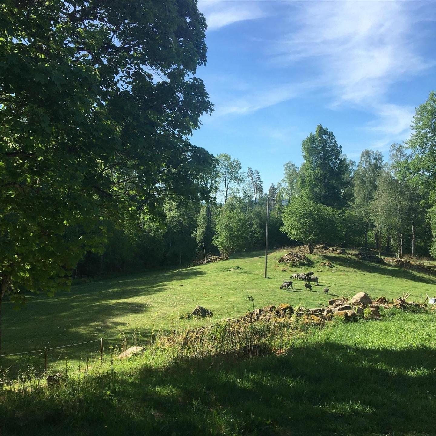 Henneviken Bnb Ed Dış mekan fotoğraf