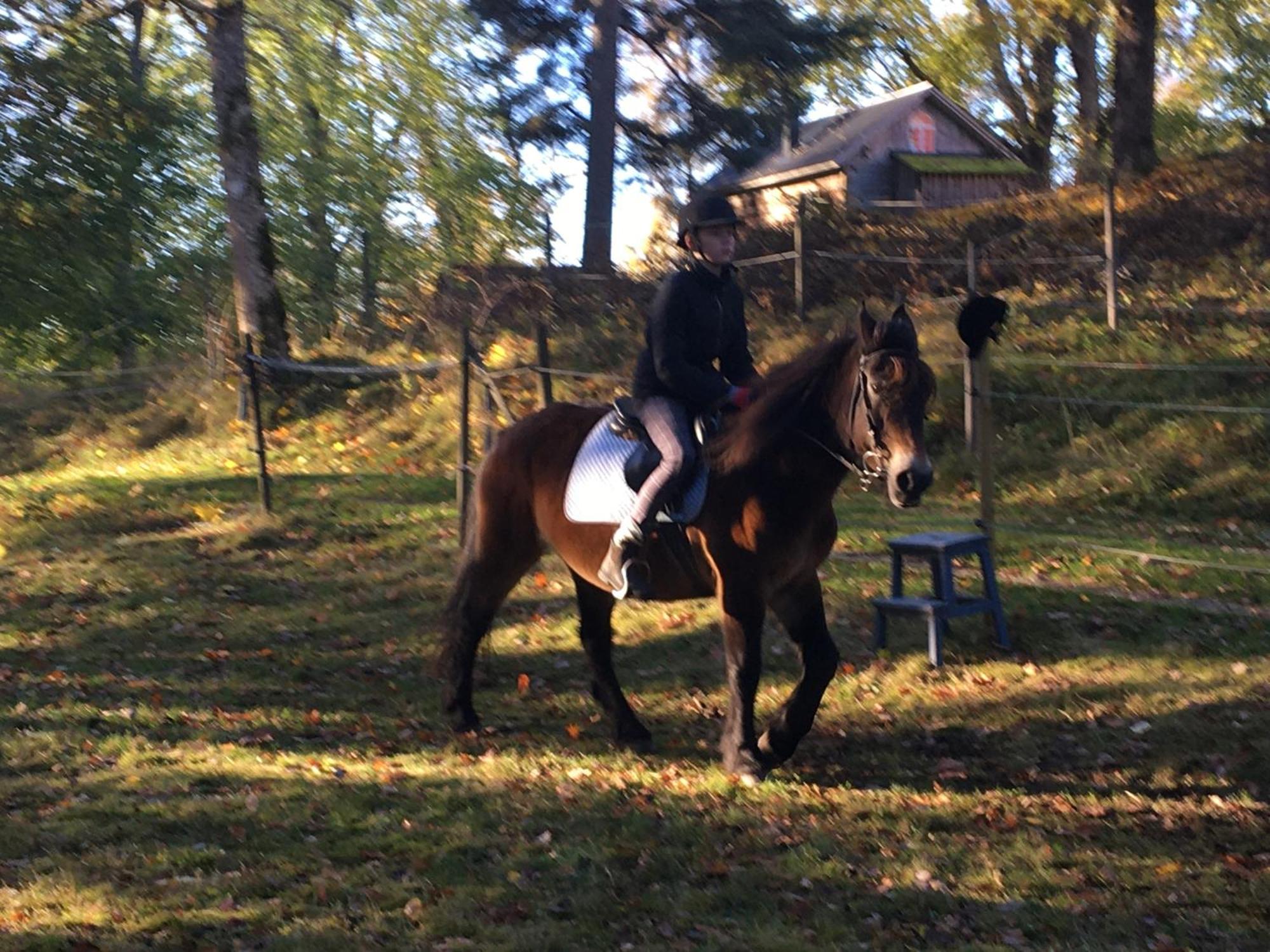 Henneviken Bnb Ed Dış mekan fotoğraf